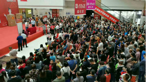 第229店，yp街机之家在河北深刻县级市 