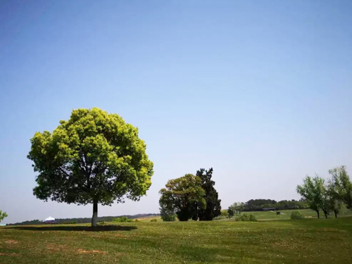 20190419114618_ts51spnfth